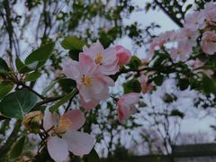 -三里河公园