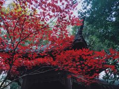 -杭州半山国家森林公园