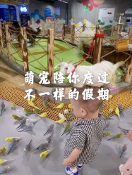 -七巧国萌宠乐园(龙湖天街店)