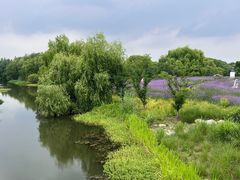 -梁鸿国家湿地公园