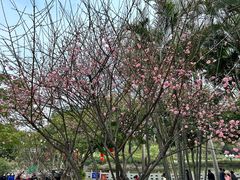 -广州莲花山旅游区