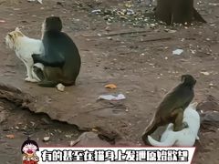-昆明动物园