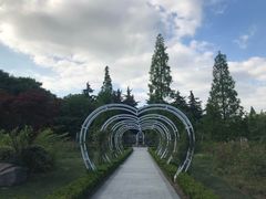 -昆山城市生态森林公园