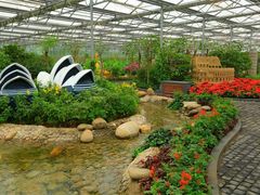 -南宫五洲植物乐园