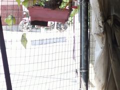 -马陆小张葡萄园农家乐