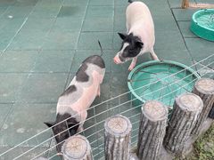 -雪浪山卡丁车俱乐部