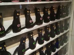 -猫咪博物馆(顶澳仔猫街店)