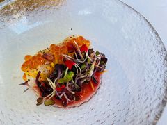 黄尾魳鱼帝王鲑薄片-蝶舍·MAISON PAPILLON