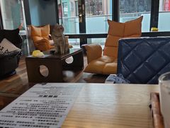-猫咪咖啡·猫咖(万达广场店)