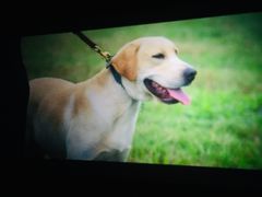 -广东省工人文化宫