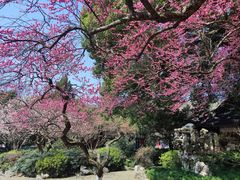 -岳王庙
