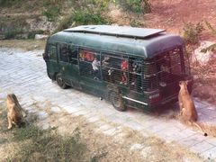 -深圳野生动物园