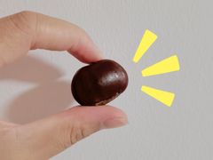 -粒上皇(奥克斯广场店)