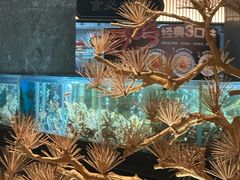 -紫阳海鲜楼·传承闽味(长乐路总店)