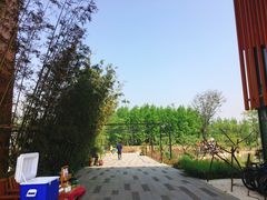 -田园东方蜜桃村的田野营地