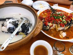 -全乐鱼馆·淳牌有机鱼直营店