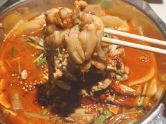 -宽口美蛙鱼头(大唐西市店)