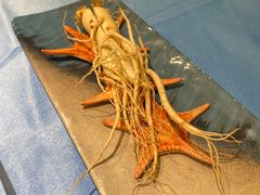 -千岛蚝高压锅生蚝·人参火锅(白云万达店)