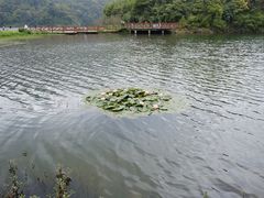 -广州市石门国家森林公园