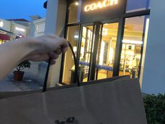 -COACH蔻驰(百联奥特莱斯广场店)