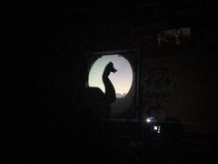 -盖碗儿梨园·变脸吐火·川剧(天府广场店)