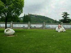 android_upload_pic-上海佘山国家森林公园西佘山园