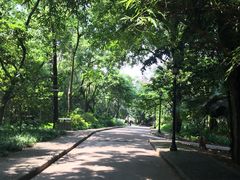 -中山大学学者灵芝(园南路店)