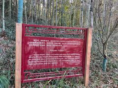 -法云安缦酒店