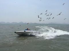 -海驴岛(荣成市)