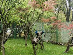 -常州淹城野生动物世界