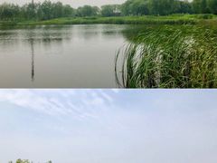 -永定河休闲森林公园