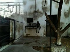 -石家庄市动物园