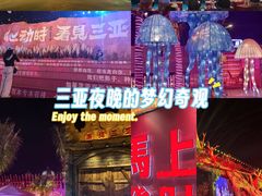 -三亚海昌梦幻海洋不夜城