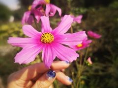 -莲池书院博物馆