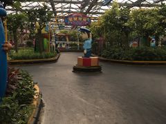 -南宫五洲植物乐园