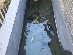 -何适山庄 ·可团建(水长城P2停车场店)