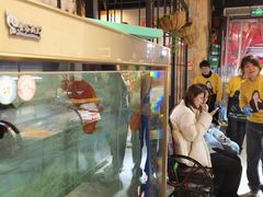 -呱呱抓鸭记(汝州大时代店)