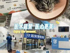 -守诺宠物医院·眼科· 神经外科·爬宠专科(虹口店)