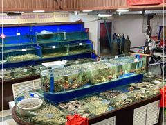 水产区-张树军海鲜(王府壹号店)