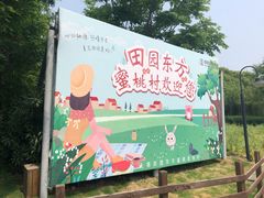 -田园东方蜜桃村的田野营地