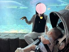 -泉城欧乐堡海洋极地世界