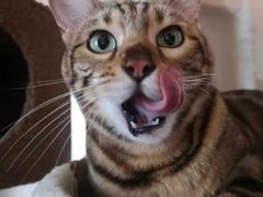 -Me Coffee下午茶艺术空间