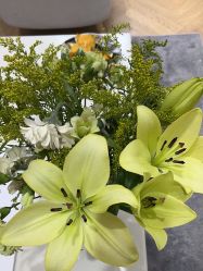 -HEYAN荷妍专业脱毛连锁机构