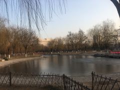 -丰台科技园生态主题公园