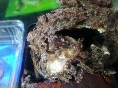 -绿地风尚天地广场