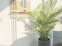 -UNI UNI(环亚凯瑟琳店)