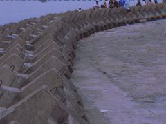 -上海滨江森林公园