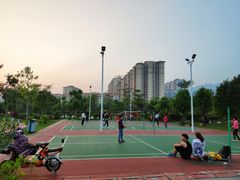 -飞来湖湿地公园