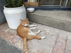 -隹木咖啡馆(宝龙广场店)