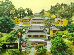 -东明山森林公园